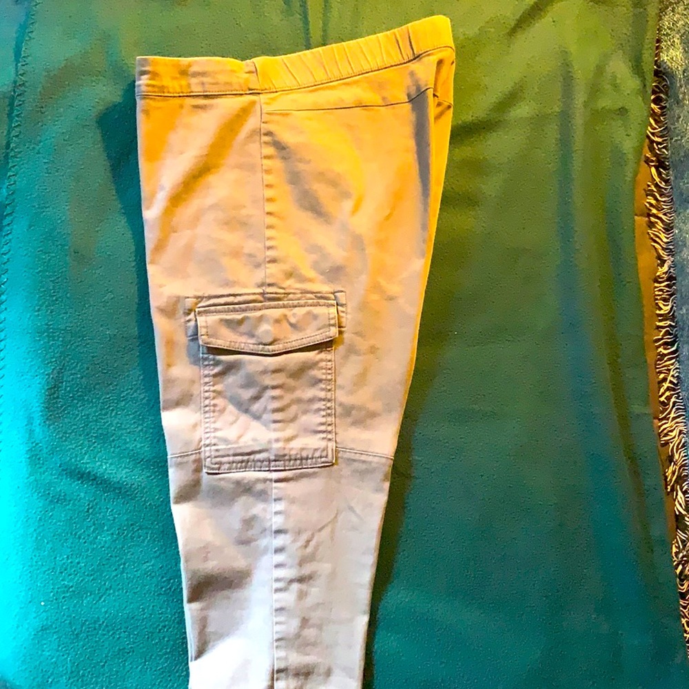 Gap pants